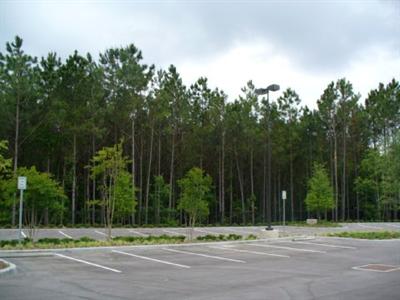 фото отеля Staybridge Suites Jacksonville (Florida)