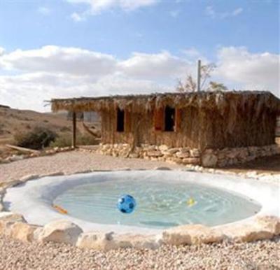 фото отеля Desert Olive Farm