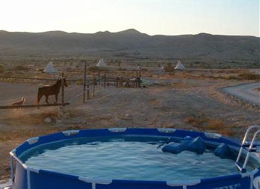 фото отеля Desert Olive Farm