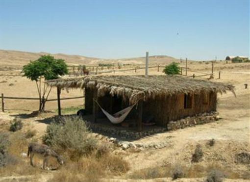 фото отеля Desert Olive Farm