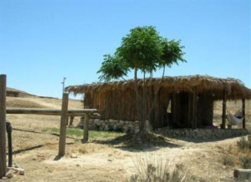 фото отеля Desert Olive Farm
