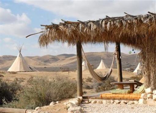 фото отеля Desert Olive Farm