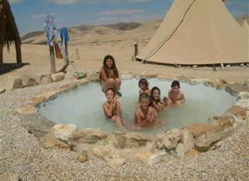 фото отеля Desert Olive Farm
