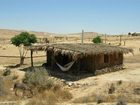 фото отеля Desert Olive Farm