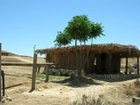 фото отеля Desert Olive Farm