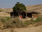 фото отеля Desert Olive Farm