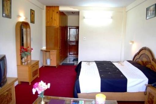 фото отеля Hotel Park Residency Manali