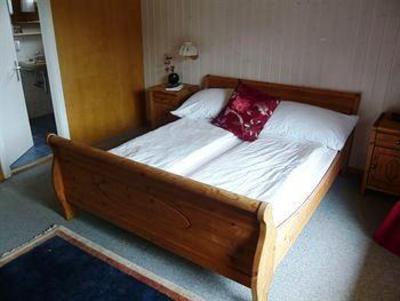 фото отеля Hotel Wannenhorn Bellwald