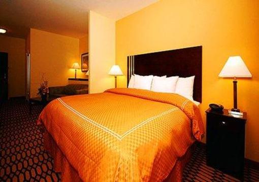 фото отеля Comfort Suites Simpsonville