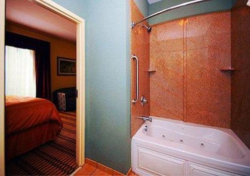 фото отеля Comfort Suites Simpsonville