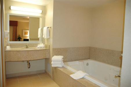 фото отеля Holiday Inn Express Hotel & Suites Surrey