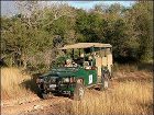 фото отеля Bushwise Safaris