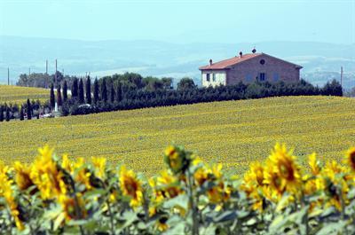 фото отеля Casale di Brolio