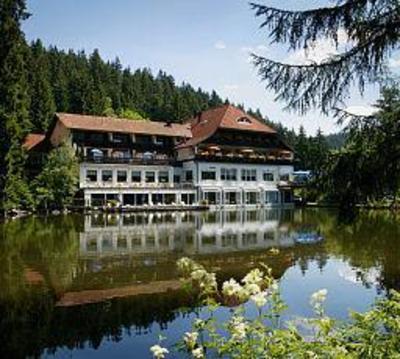 фото отеля Hotel Langenwaldsee