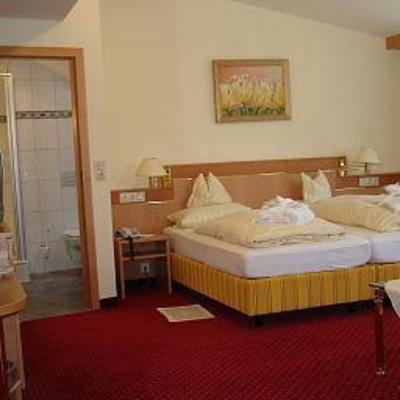фото отеля Hotel Langenwaldsee