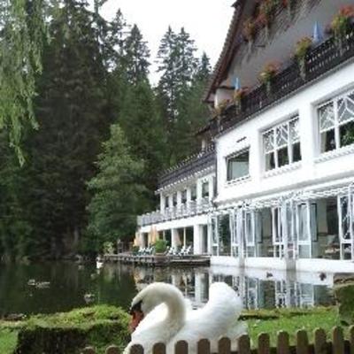 фото отеля Hotel Langenwaldsee