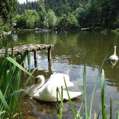 фото отеля Hotel Langenwaldsee