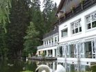 фото отеля Hotel Langenwaldsee