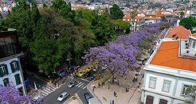 фото отеля Atlantida Apartments Funchal