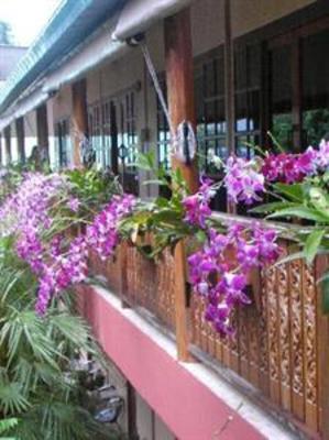 фото отеля Noble Night Guesthouse
