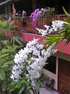 фото отеля Noble Night Guesthouse