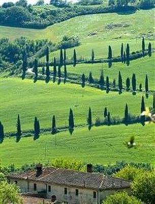 фото отеля Tre Stelle Hotel Montepulciano