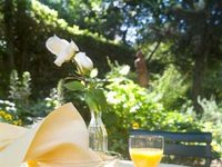 Hotel Villa Liana