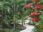 фото отеля Royale Takitumu Villas Rarotonga