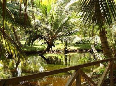 фото отеля Grand Paradise Samana