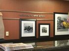 фото отеля Hampton Inn Ann Arbor - North