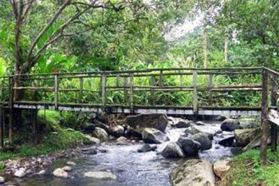 фото отеля Chachagua Rainforest Hotel & Hacienda