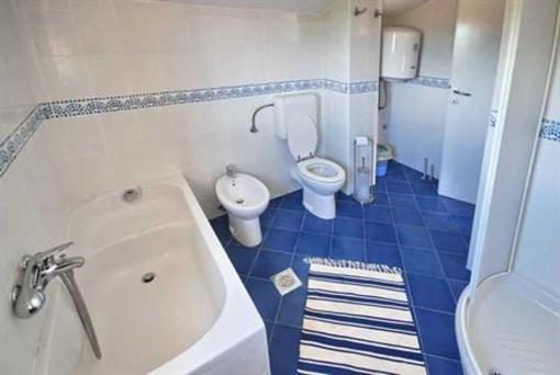 фото отеля Apartments Miodrag