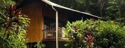 фото отеля The Epiphyte Bed & Breakfast