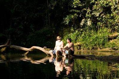 фото отеля The Epiphyte Bed & Breakfast