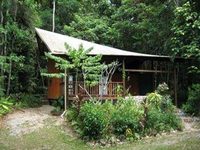 The Epiphyte Bed & Breakfast