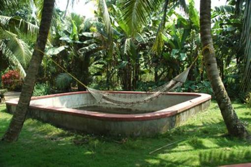 фото отеля Village Paradise Backwater Homestay