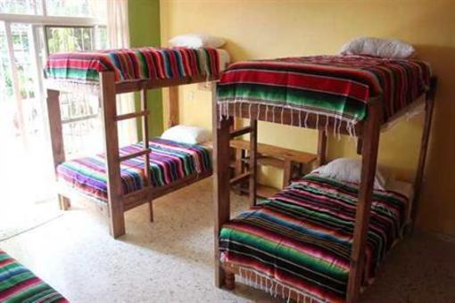 фото отеля Funky Monkey Hostel