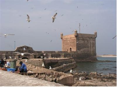 фото отеля Mogador Location Vacances