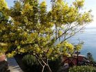 фото отеля Il Borgo di Campi
