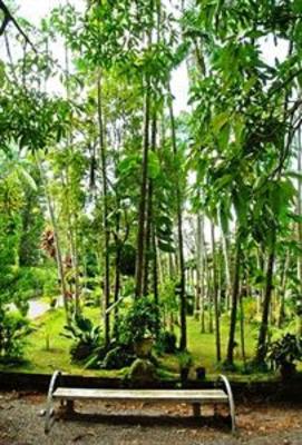 фото отеля Pousada do Bosque
