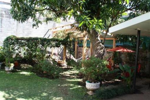 фото отеля Hostel Mangifera