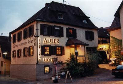 фото отеля Hotel Adler Bad Rappenau