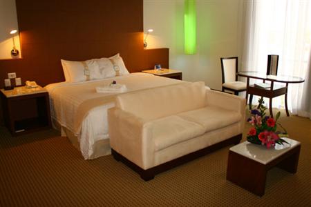 фото отеля Holiday Inn Salamanca