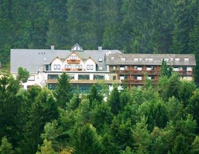 фото отеля Wald Hotel Willingen