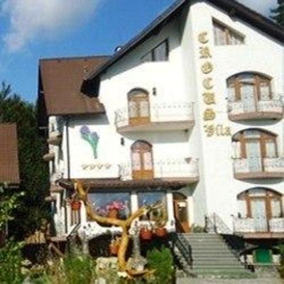 фото отеля Vila Crocus Hotel Brasov