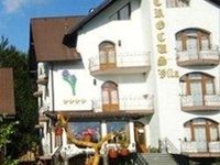 Vila Crocus Hotel Brasov