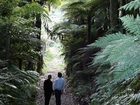 фото отеля Hart Lodge Tauranga