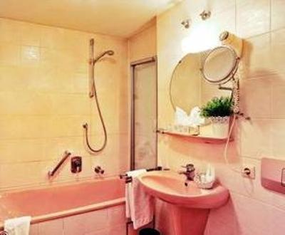 фото отеля Gasthof Hotel Zum Hirsch