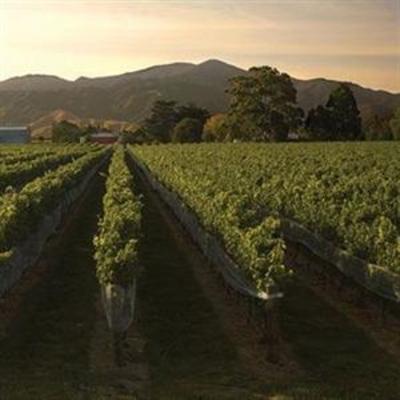 фото отеля Escape to Picton Boutique Hotel