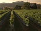 фото отеля Escape to Picton Boutique Hotel